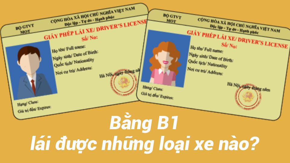 Bằng B11 lái được những loại xe nào? Cập nhật mới nhất năm 2024 1 Bang B1 lai xe duoc nhung loai xe nao