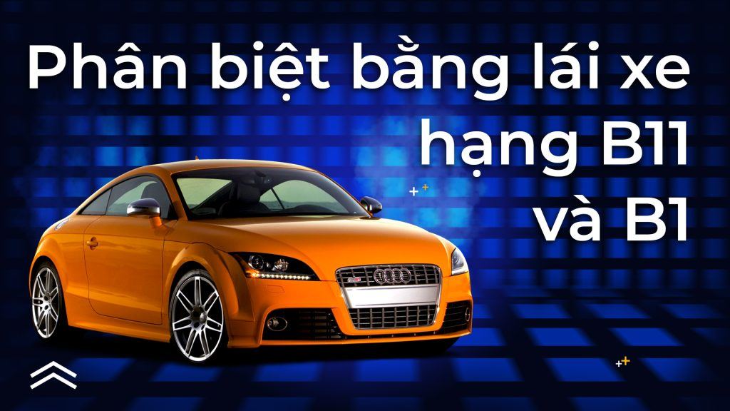 Phân biệt bằng lái xe hạng B1 và B11 1 phan biet bang lai xe b11 va b1