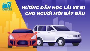 Hướng dẫn học lái xe B1 cho người mới bắt đầu
