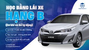 trung-tam-day-lai-xe-can-tho