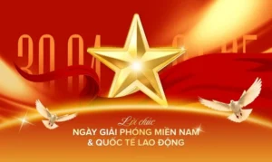 dao-tao-lai-xe
